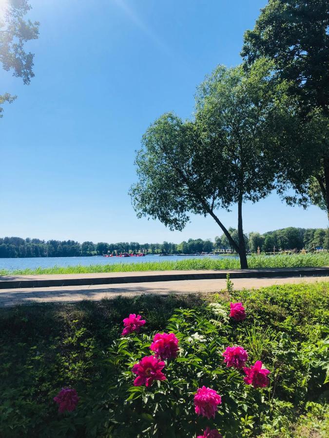 Ezeru Gleby Hotel Zarasai Luaran gambar